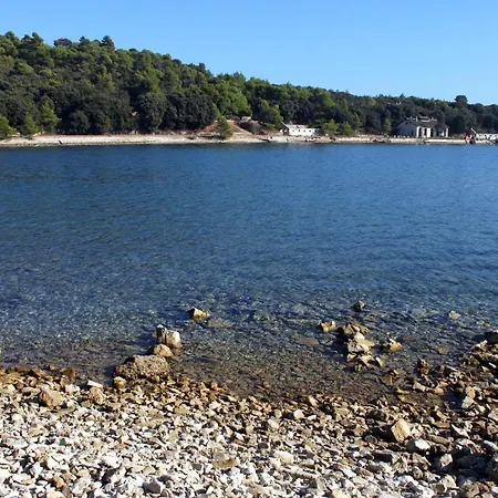 With Swimming Pool - 7356 Apartamento