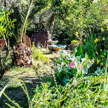 With Swimming Pool - 7356 *