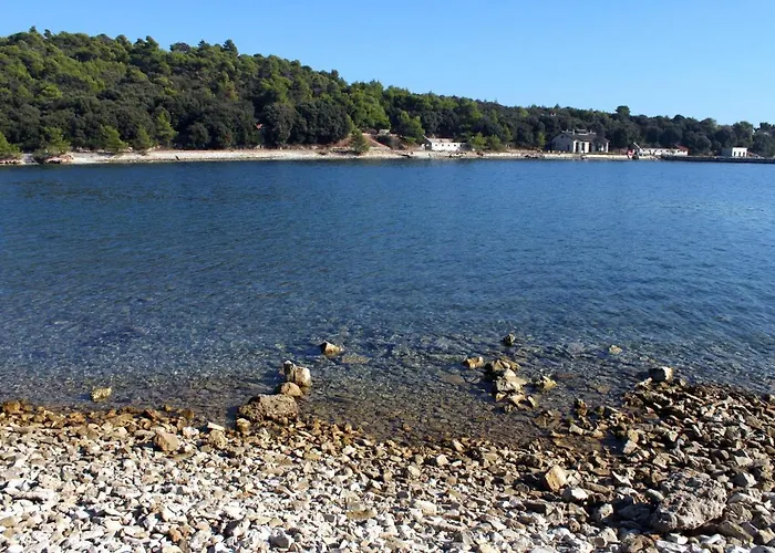 Apartments With Swimming Pool Pula - 7356 Apartman