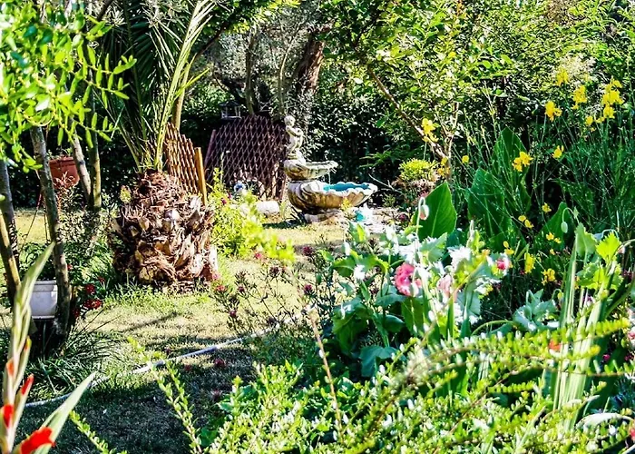 Apartments With Swimming Pool Pula - 7356 *